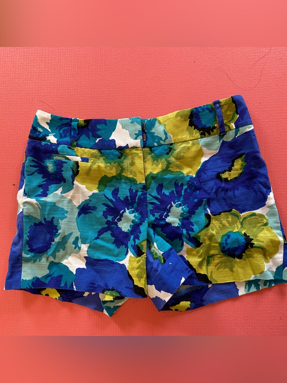 Loft Floral Print Women's Shorts in Blue & Green